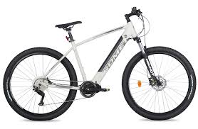 elektrisch mountainbike