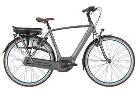 merk elektrische fiets