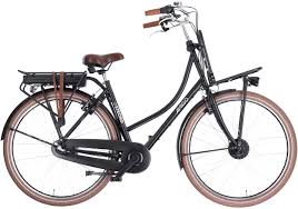 amigo elektrische fiets