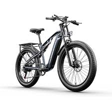 elektrische mtb