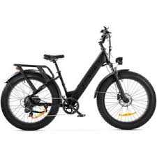 elektrische fiets zwart
