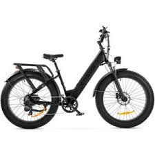 damesfiets met lage instap