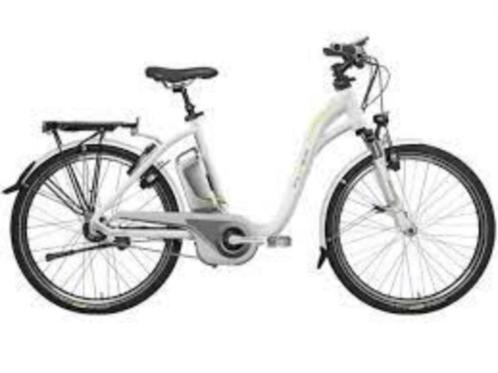 framemaat elektrische fiets