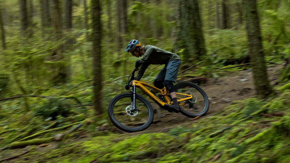 elektrische mountainbike trek