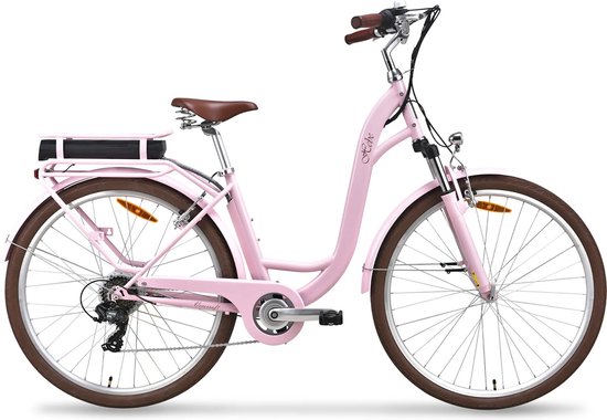 stoere elektrische fiets dames