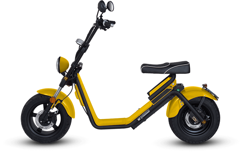elektrische chopper scooter