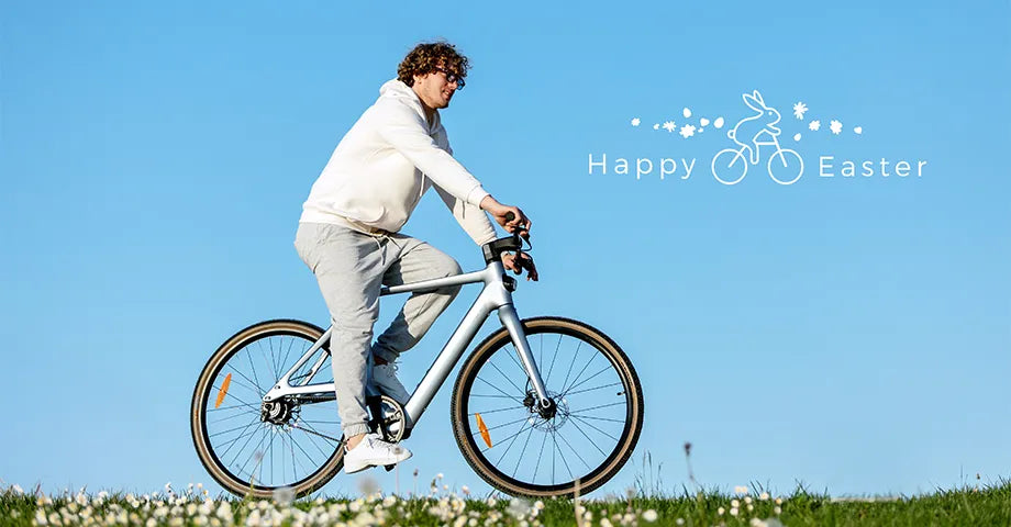 elektrische fiets actie