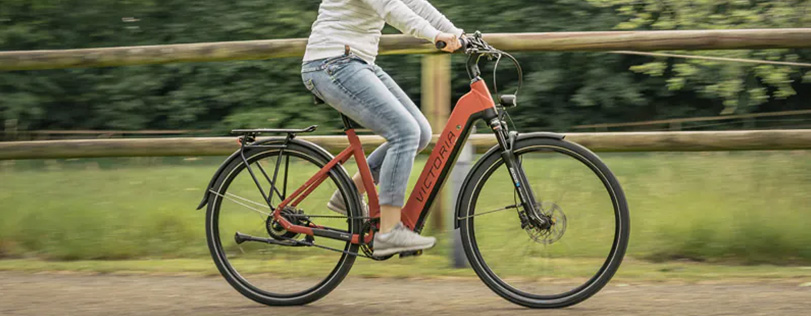 stevige elektrische fiets