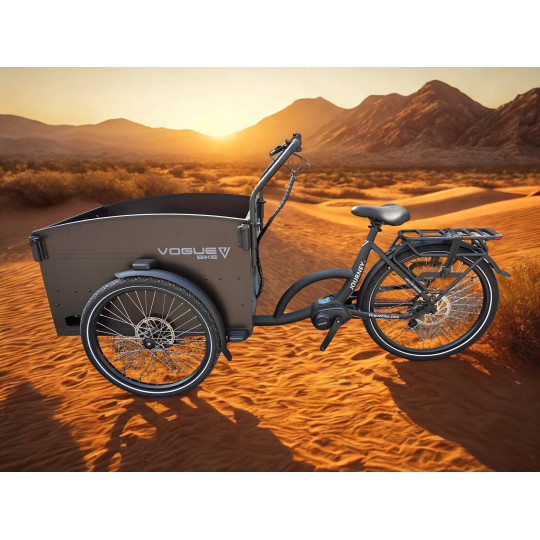 elektrische bakfiets middenmotor