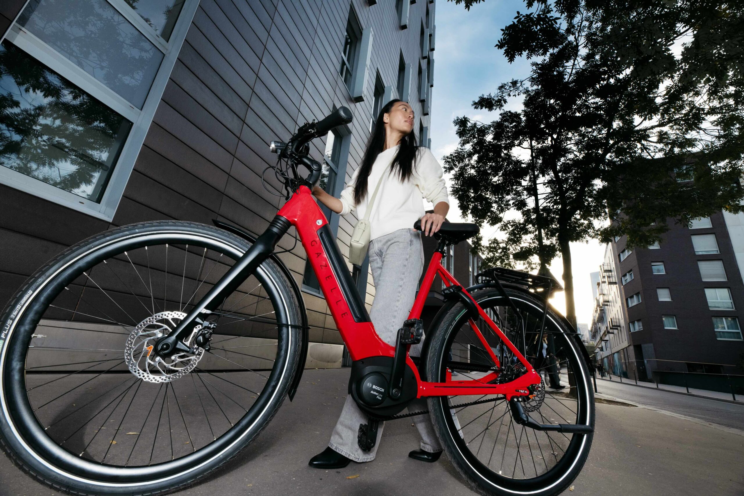 gazelle omafiets elektrisch