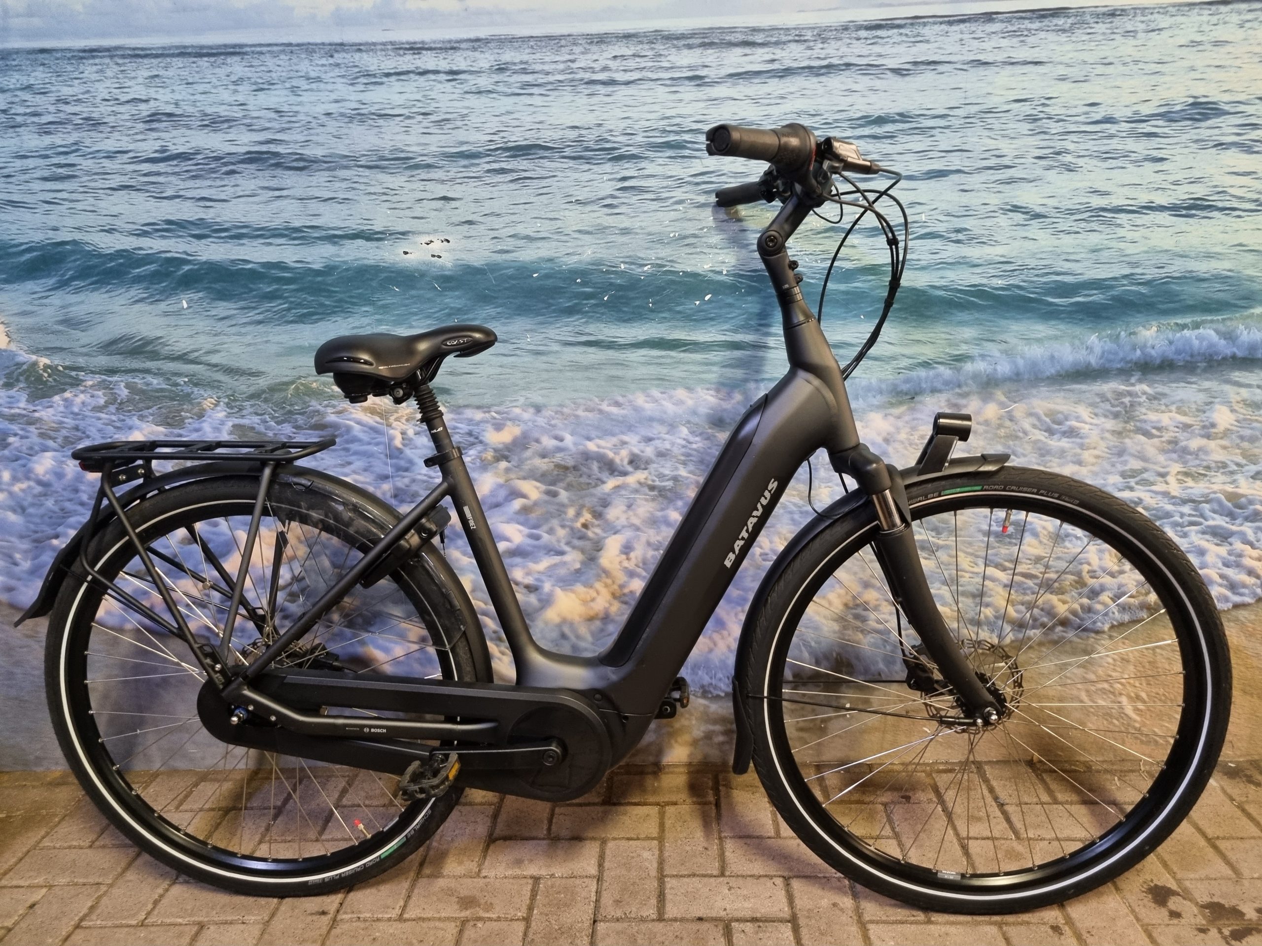 elektrische batavus fiets