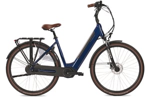elektrische fiets online kopen